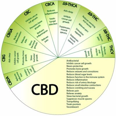 CBD Diagram2