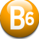 b6